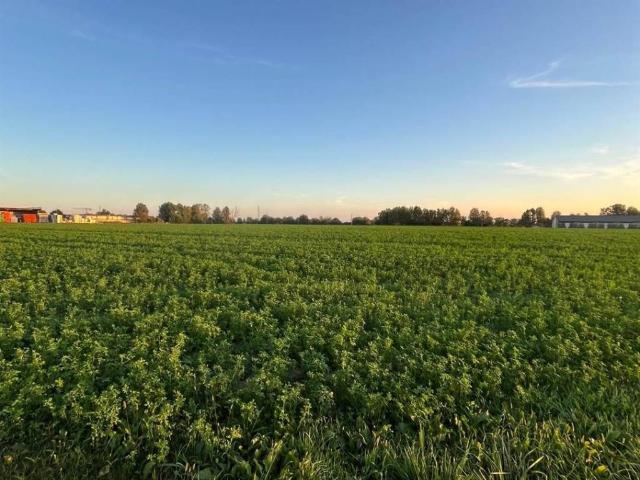 Terreno in vendita a Pegognaga, Lombardia