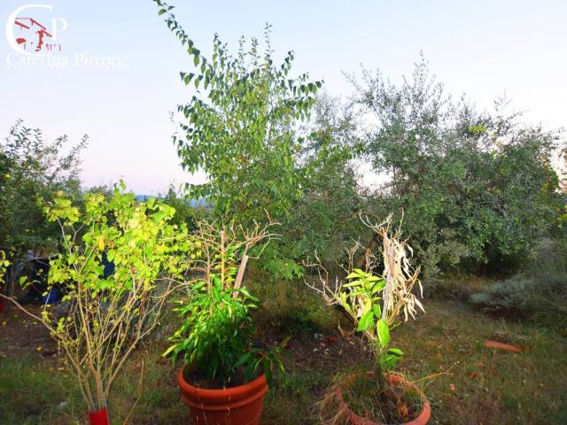 Terreno in vendita a Grassina, Pelago
