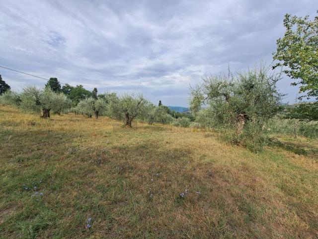 Terreno in vendita a Diacceto, Pelago