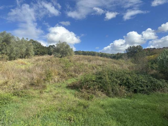 Terreno in vendita a Unione di Comuni Valdarno e Valdisieve, Pelago