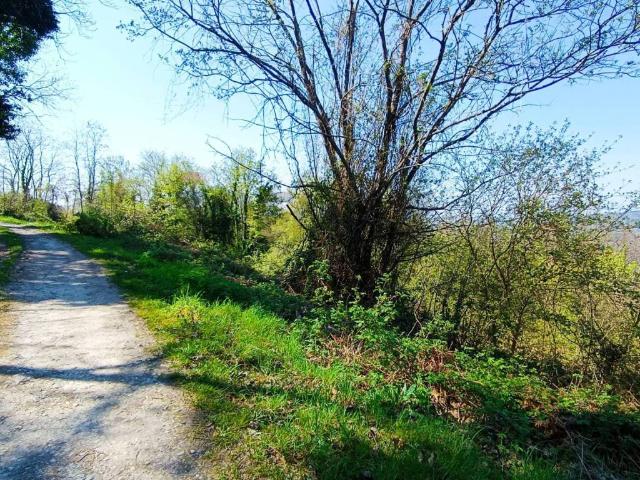 Terreno in vendita a Unione di Comuni Valdarno e Valdisieve, Pelago