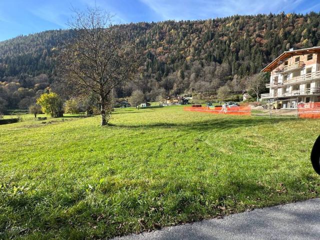 Terreno in vendita a Comunità delle Giudicarie, Pelugo