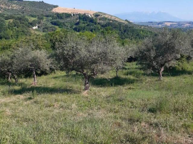 Terreno in vendita a Penne, Abruzzo