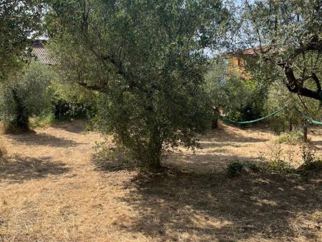 Terreno in vendita a Perdifumo, Campania