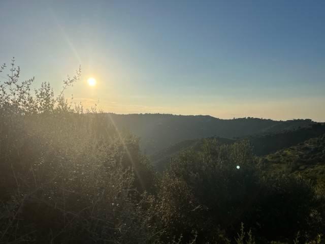 Terreno in vendita a Perdifumo, Campania