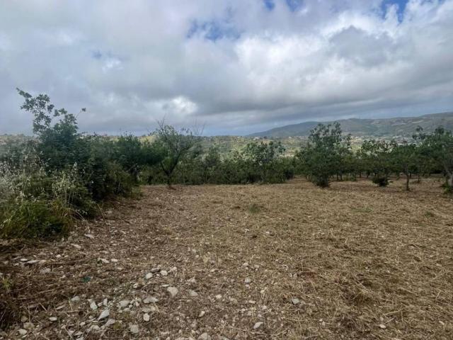 Terreno in vendita a Perdifumo, Campania