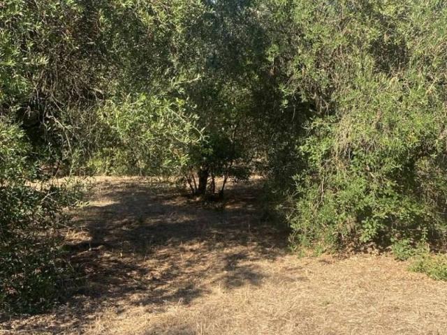 Terreno in vendita a Castellabate, Perdifumo