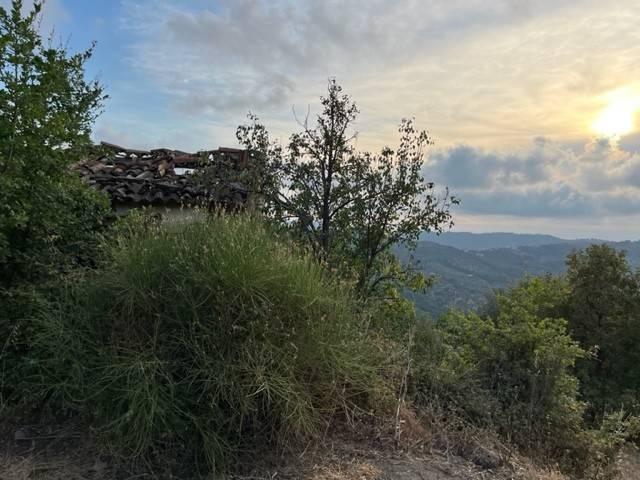 Terreno in vendita a Perdifumo, Campania