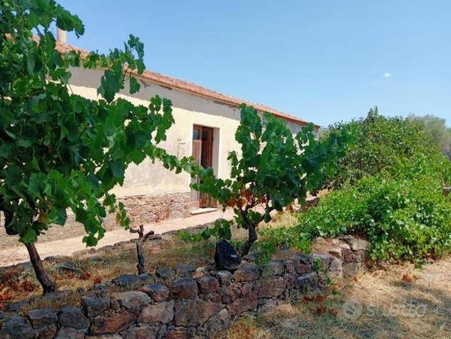Terreno in vendita a Perfugas, Sardigna/Sardegna