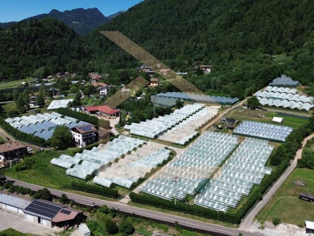 Terreno in vendita a Comunità Alta Valsugana e Bersntol, Pergine Valsugana