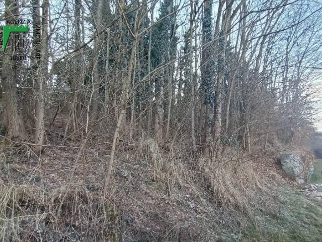 Terreno in vendita a Comunità Alta Valsugana e Bersntol, Pergine Valsugana