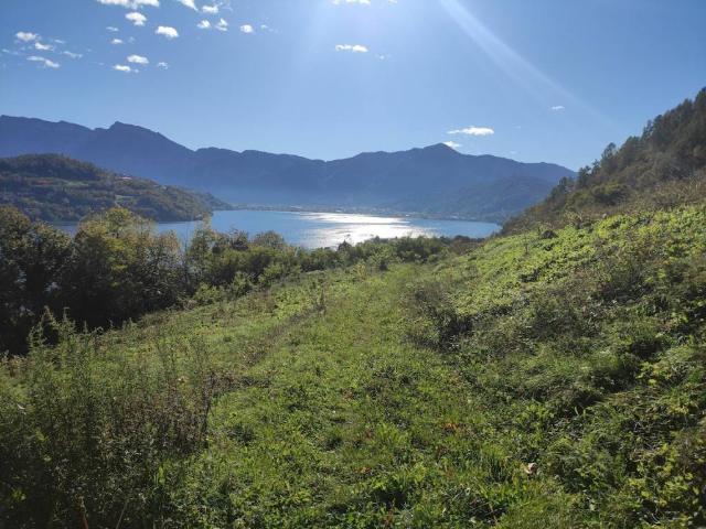 Terreno in vendita a Comunità Alta Valsugana e Bersntol, Pergine Valsugana