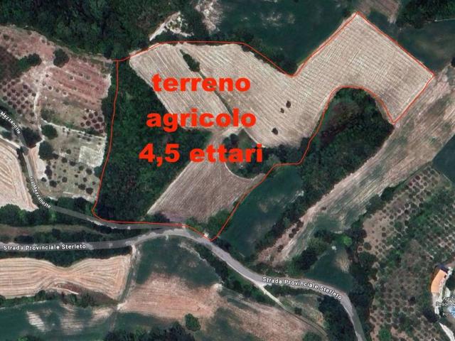 Terreno in vendita a Marche, Pesaro E Urbino