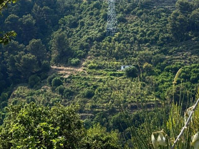 Terreno in vendita a Perinaldo, Liguria