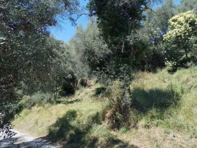 Terreno in vendita a Perinaldo, Liguria