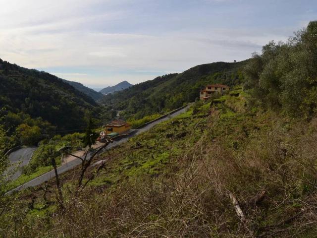 Terreno in vendita a Perinaldo, Liguria
