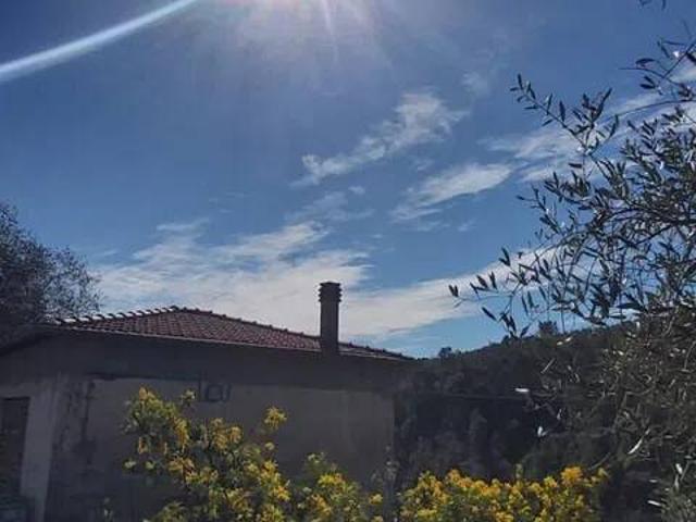 Terreno in vendita a Perinaldo, Liguria