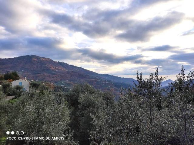 Terreno in vendita a Perinaldo, Liguria