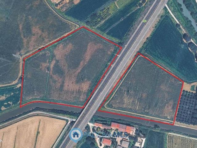 Terreno in vendita a Pernumia, Veneto