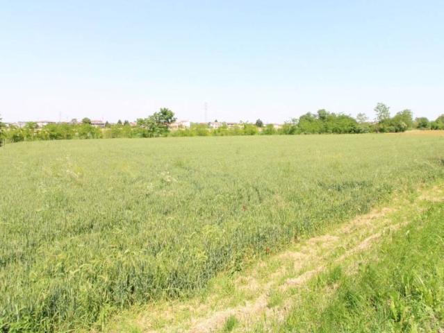 Terreno in vendita a Pernumia, Veneto