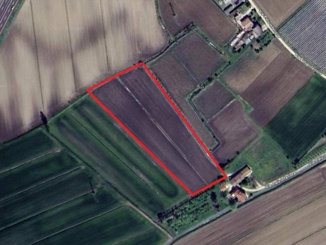 Terreno in vendita a Pernumia, Veneto