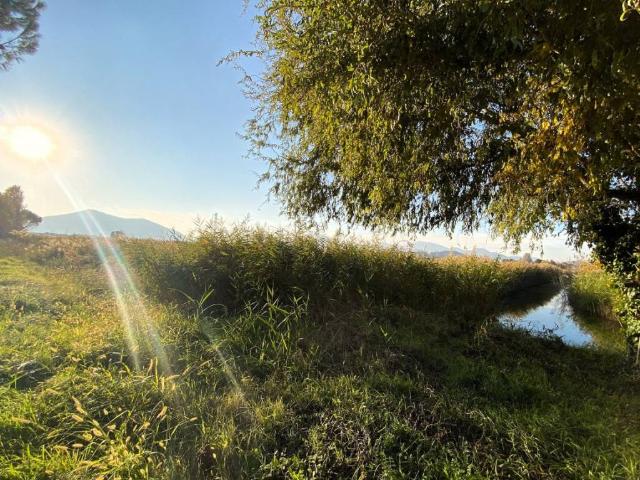 Terreno in vendita a Pernumia, Veneto