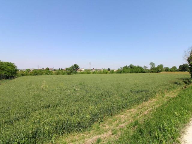 Terreno in vendita a Pernumia, Veneto