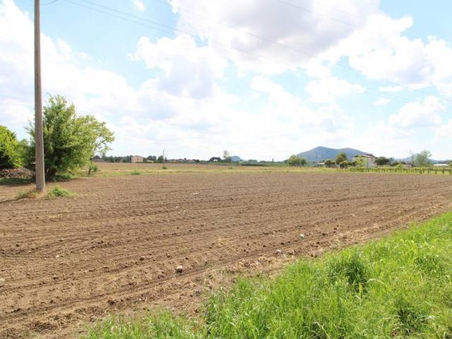Terreno in vendita a Pernumia, Veneto