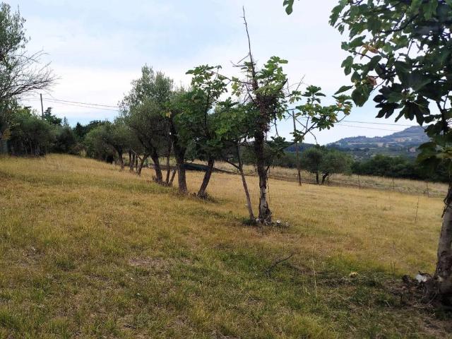 Terreno in vendita a Sant'Erminio, Cenerente