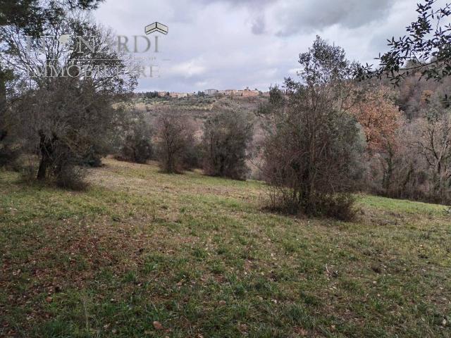 Terreno in vendita a Sant'Erminio, Cenerente