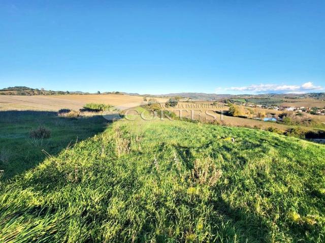 Terreno in vendita a Cenerente, Umbria
