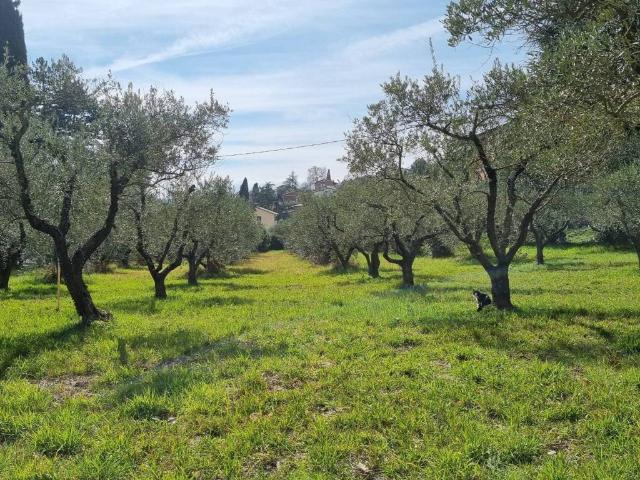 Terreno in vendita a Villa Pitignano, Cenerente