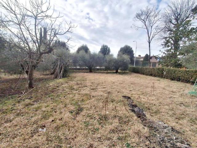 Terreno in vendita a Cenerente, Umbria