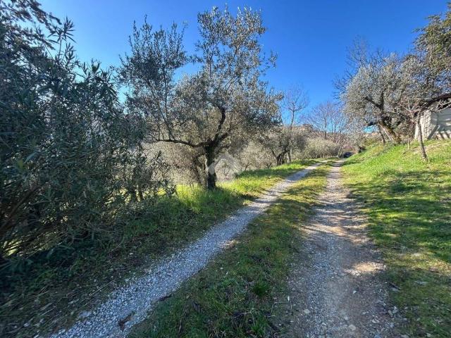 Terreno in vendita a Sant'Erminio, Cenerente