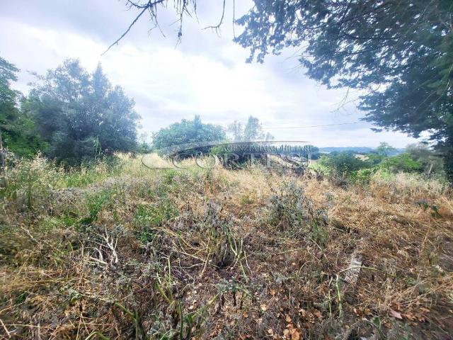 Terreno in vendita a Cenerente, Umbria