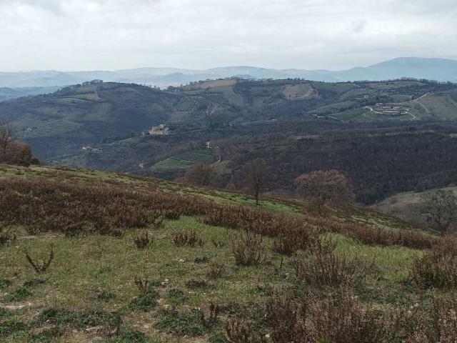 Terreno in vendita a Cenerente, Umbria