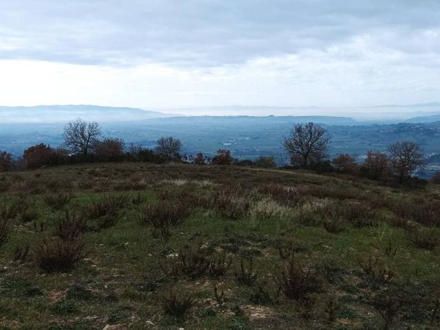Terreno in vendita a Cenerente, Umbria