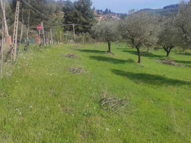 Terreno in vendita a Sant'Erminio, Cenerente