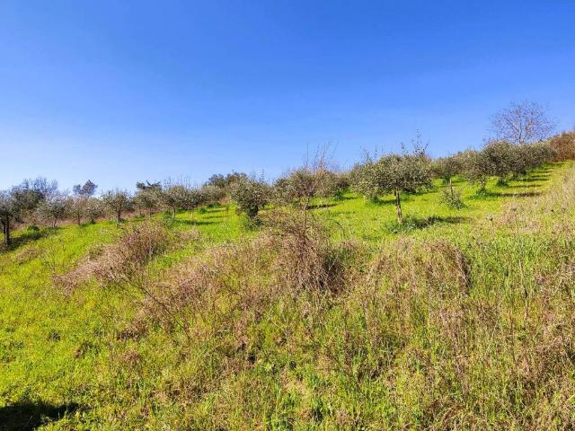 Terreno in vendita a Perugia