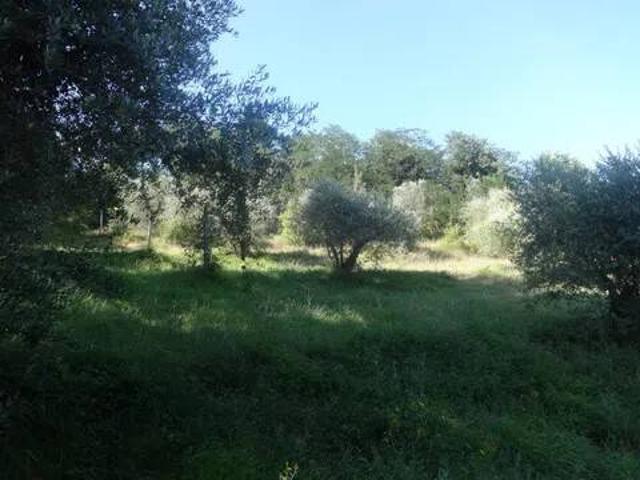 Terreno in vendita a Casaglia, Cenerente