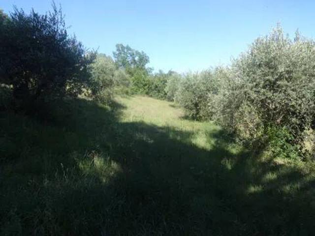 Terreno in vendita a Casaglia, Cenerente