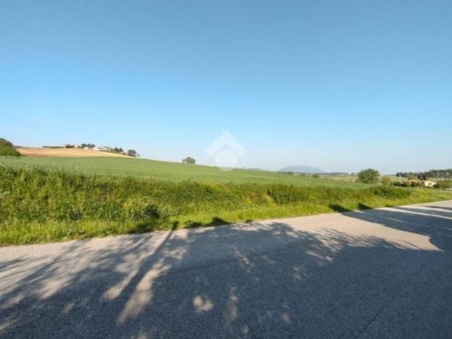 Terreno in vendita a Podere le Spiagge, Cenerente
