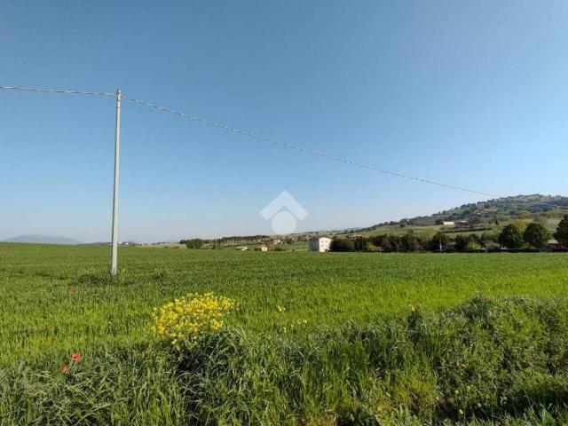 Terreno in vendita a Podere le Spiagge, Cenerente