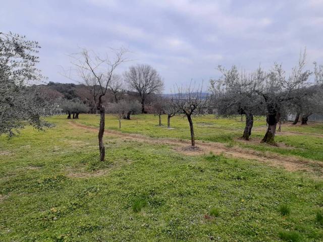 Terreno in vendita a San Marco, Cenerente