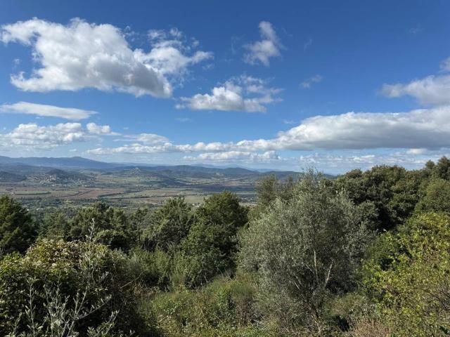 Terreno in vendita a Cenerente, Umbria