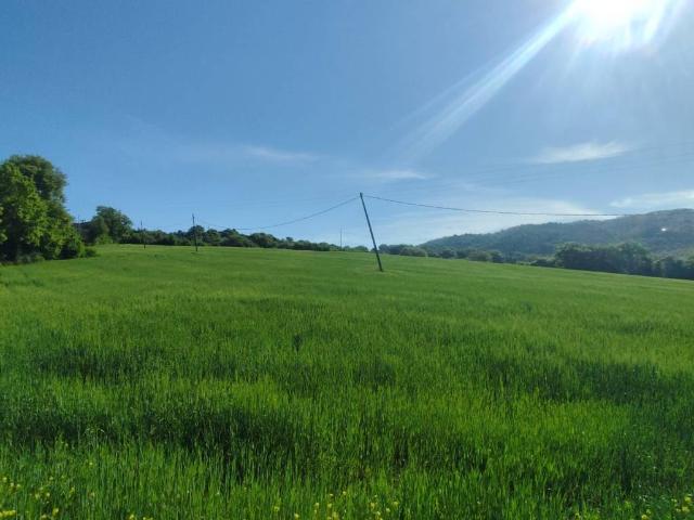 Terreno in vendita a Cenerente, Umbria