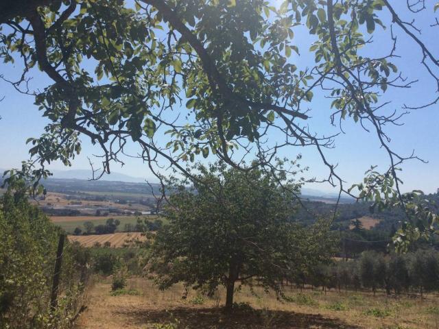 Terreno in vendita a Mugnano, Perugia