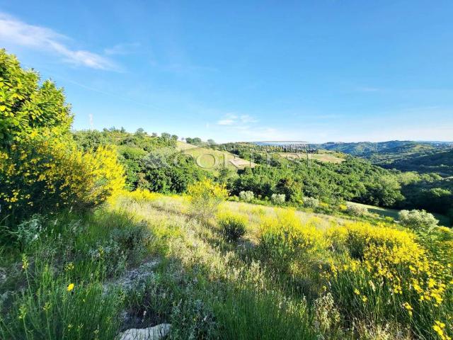 Terreno in vendita a Monte Bagnolo II, Perugia