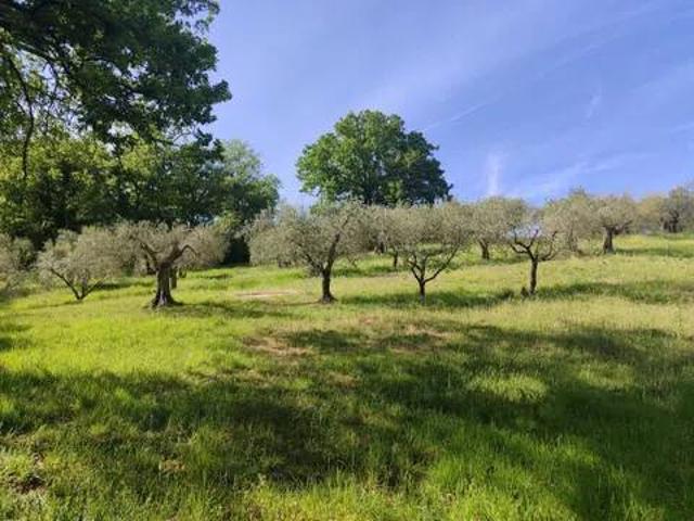 Terreno in vendita a Monte Bagnolo I, Cenerente