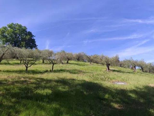 Terreno in vendita a Monte Bagnolo I, Cenerente